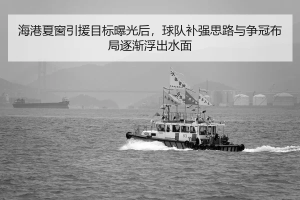 海港夏窗引援目标曝光后，球队补强思路与争冠布局逐渐浮出水面 | KAIYUN